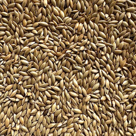 Canary Grass Seed 50lb